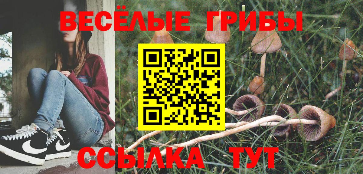 Галлюциногенные грибы Magic Shrooms  Вход с VPN  Улан-Удэ 