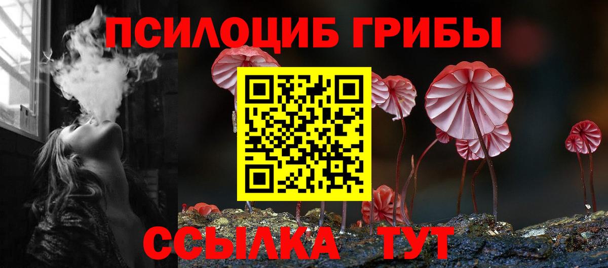 Псилоцибиновые грибы Psilocybine cubensis Улан-Удэ